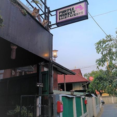 Purple Monkey Backpackers Chiang Mai Hostel Ngoại thất bức ảnh