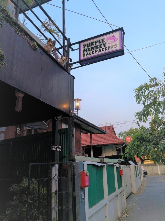 Purple Monkey Backpackers Chiang Mai Hostel Ngoại thất bức ảnh
