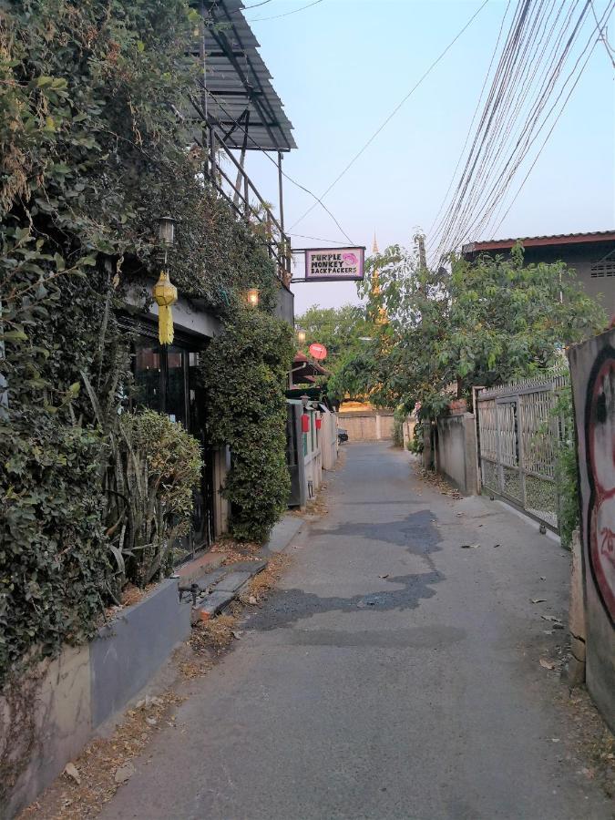 Purple Monkey Backpackers Chiang Mai Hostel Ngoại thất bức ảnh